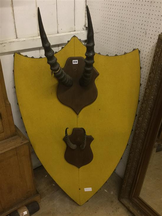 2 sets of mounted horns on a shield